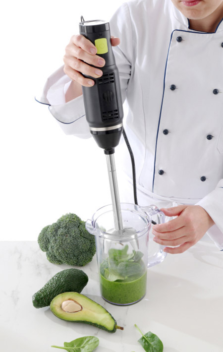 Stabmixer Kunststoffgehäuse mit festem Mixstab,
