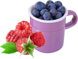 Blaubeer-Himbeer-Früchtetee- 1 Filterkette