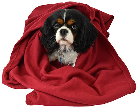 Wohn-und Schlafdecke rot,100x150cm, Premium Fleece