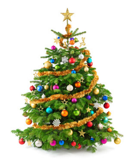 Weihnachts-Früchtetee 1 Filterkette