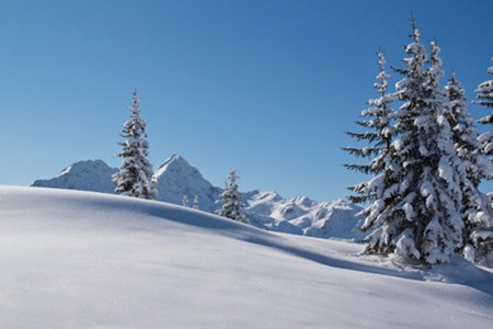 Winter-Früchtetee, 1kg